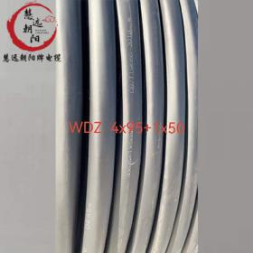 WDZ 4x95+1x50